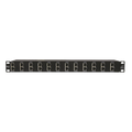 DITEK DTK-RM12NETS Supresores de Picos Protector Rack 12 Pue